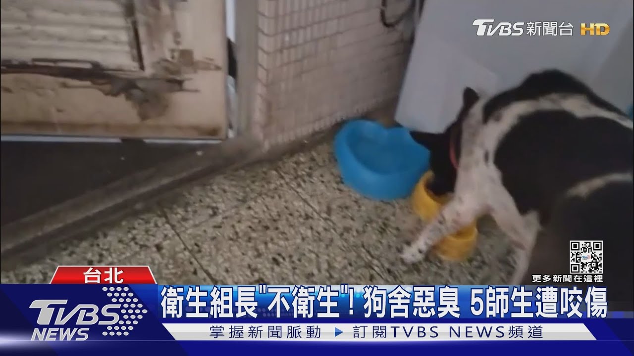 「8隻狗」擠3坪房 教職員「占器材室養狗」挨轟