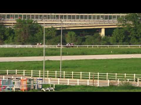 23.4.2023 - Trka VII "Memorijal Dr. Mileta Janjića" - Hipodrom Beograd