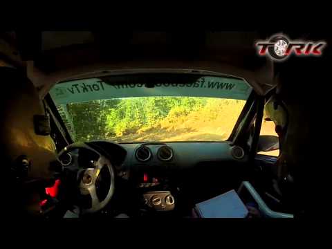 2014 AVIS Bosphorus Rally - SS5: Mudarlı-2 - Kerim Tar & Kutay Ertuğrul (incar)