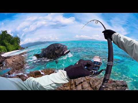 TOO BIG IT DIED ON ME!