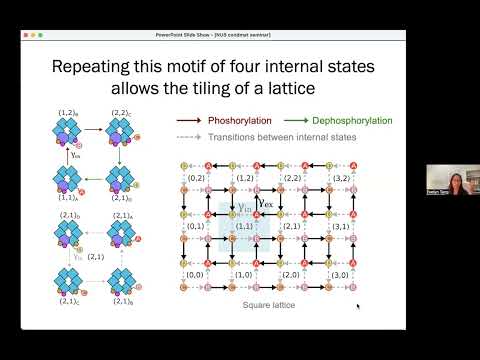 Robust dynamics and function in stochastic topological systems