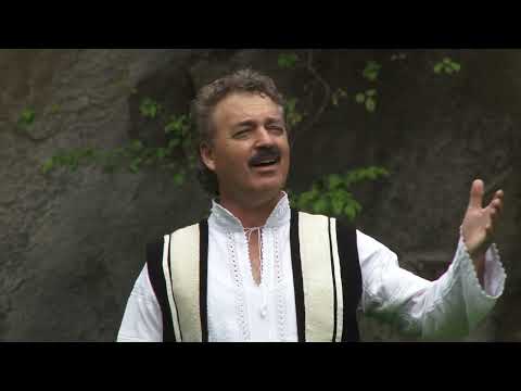 Mitică TAVĂ - Tinerețe nu te-aș pierde