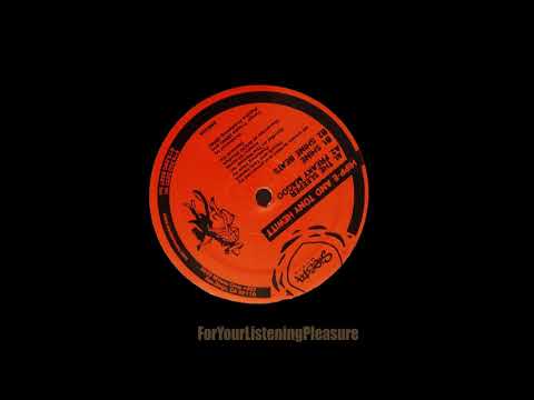 Hipp-E and Tony Hewitt - The Shine (Siesta Music)