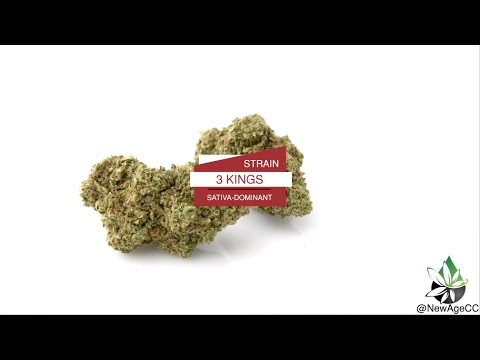 Cannabis Strain: 3 KINGS (Sativa)