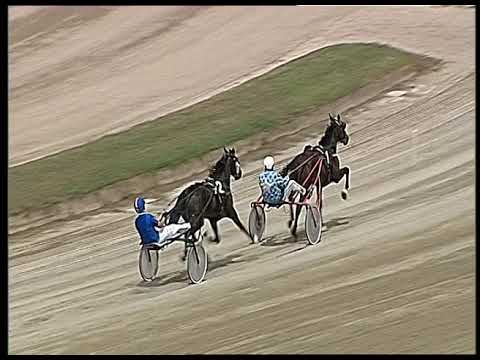 Trotto 11/06/2020 - 1ª prova di qualifica