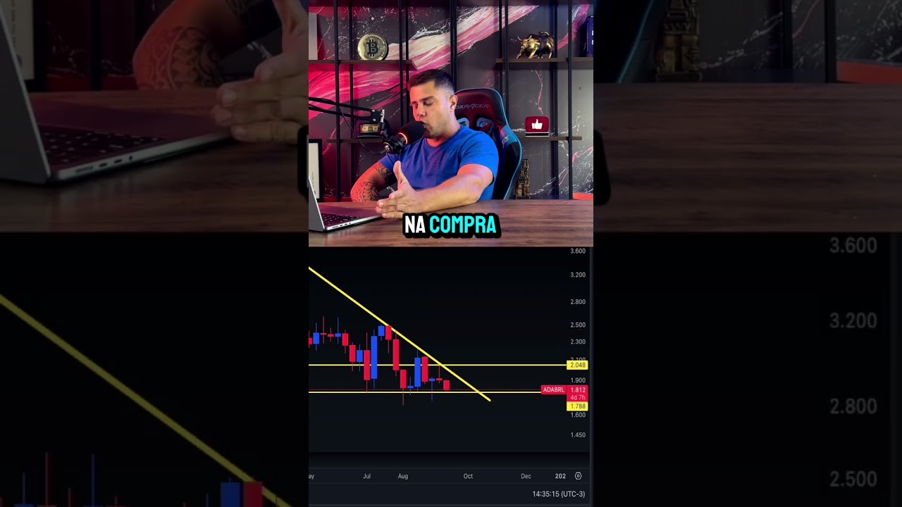 Alerta de preços 🚨 Criptos vão decolar?