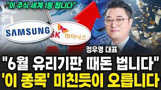 "6월 유리기판 때돈 법니다" '이 종목' 미친듯이 오릅니다 (정우영 대표 / 증시임당)