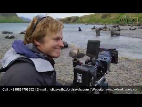 FUR SEAS OVERCOME EXTINCTION ON RESURRECTION ISLAND