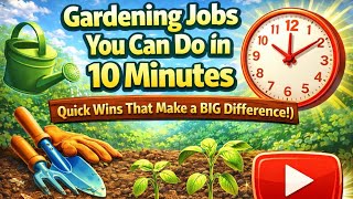 Gardening Jobs You Can Do in 10 Minutes (Quick Wins That Make a BIG Difference!)