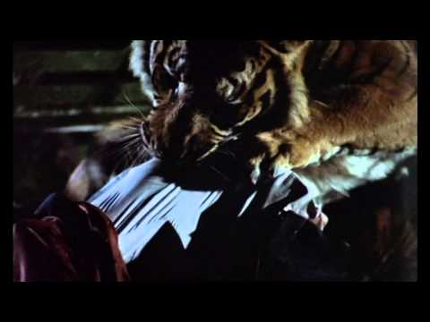 Torn By The Lion Apart cover