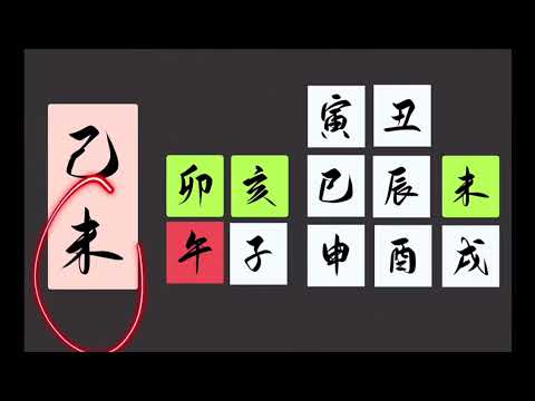己未年生肖