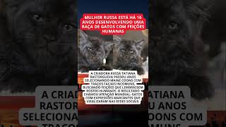 Criadora russa desenvolve gatos com feições humanas e viraliza no mundo inteiro
