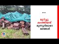 അടിമാലിയില്‍ വന്‍ മരംകൊള്ള 300 ലേറെ മരങ്ങള്‍ മുറിച്ചുകടത്തി idukki tree felling