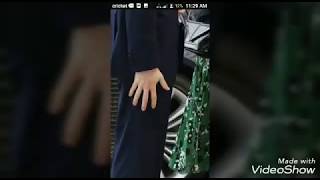 CREEPY SHAPESHIFTING OF THE ROYAL FAMILY