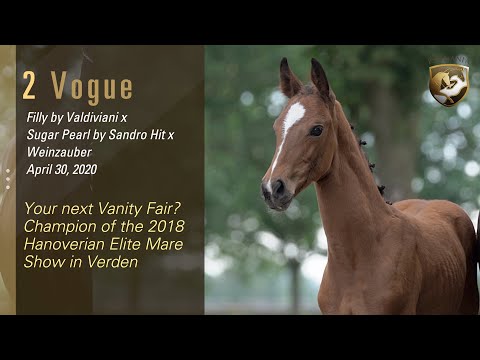 Lot 2 - Valdiviani x Sugar Pearl (Sandro Hit x Weinzauber) - Rhenania x Ekestrian 28/29 July