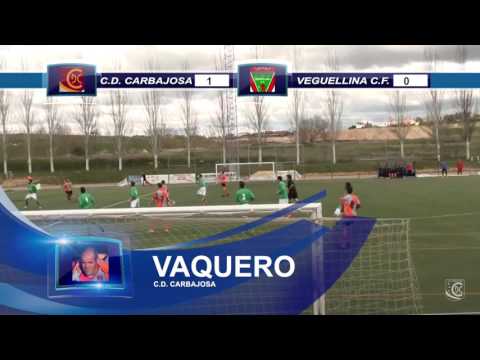 J-28 C.D. CARBAJOSA 1-1 VEGUELLINA C.F. (RESUMEN)