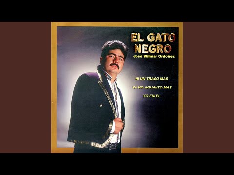 A Mi Amor Nunca le Temas