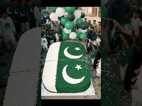 🎂 Biggest Street Cake Cutting 🇵🇰 | 14 August Celebration ✨