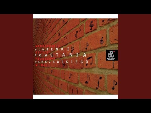 Chlopcy Silini Jak Stal