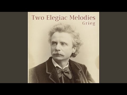 2 Elegiac Melodies, Op. 34: No. 1, The Wounded Heart