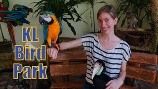 Kuala Lumpur Bird Park Aviary (Taman Burung) KL Bird Park - Kuala Lumpur, Malaysia