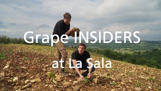 Grape INSIDERS: La Sala winery in Chianti Classico, Tuscany Wine Tours