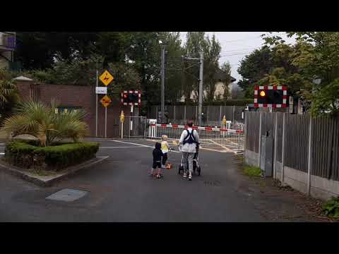 Claremont Road Crossing. 13/8/2020.