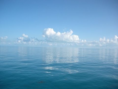 Cultivating "Buddycitta" 2: Remembering and Repaying Kindness, Eight Realizations Talk 1. 26/9/2021