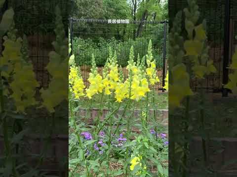 サンジャン大聖堂 ブザンソン.jpg