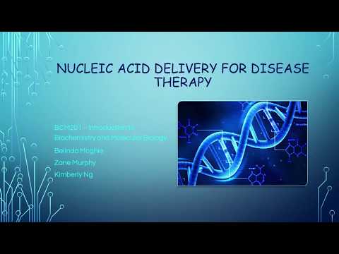 Group 13 Assessment 1: Nucleic Acid Delivery for Disease Therapy