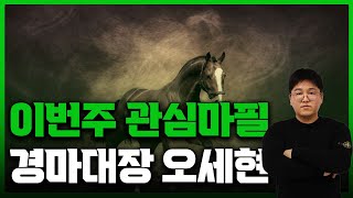 [이번주 부산경마 추천마] 경마대장 오세현의 이번주 관심마필 !