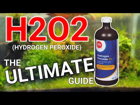 The Miracle Cure For Everything In Your Aquarium! (sort of)