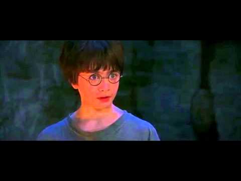 You're a wizard Harry - Ha Gayyyyyy