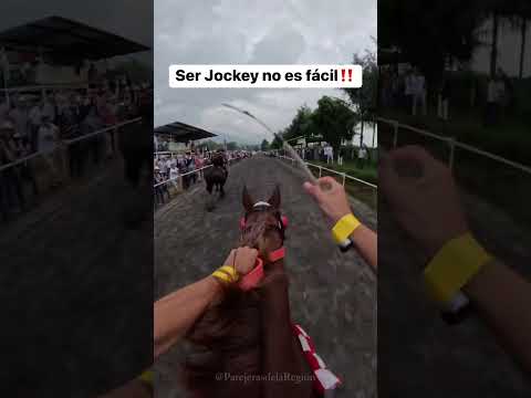 Salida de caballo de carreras #caballos #caballo