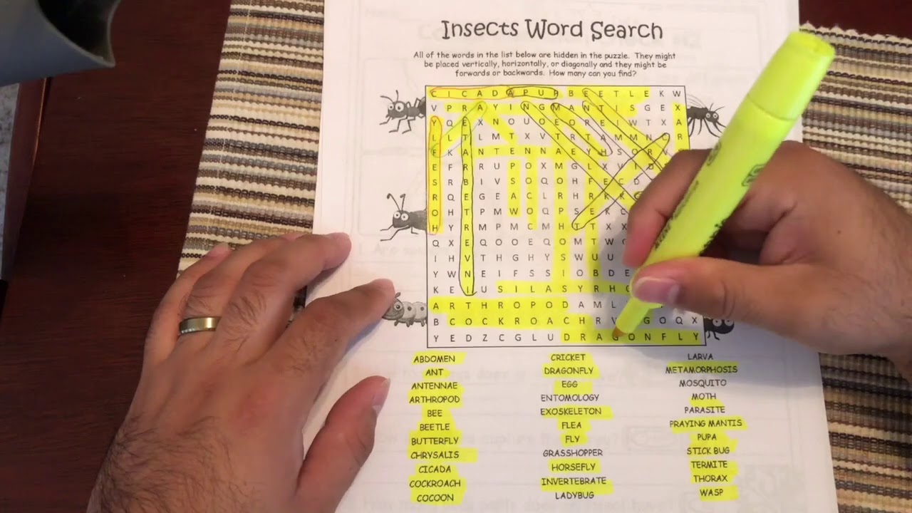 Worksheet Tutorials (Insect Week)