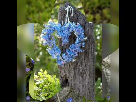 Kék nefelejcs, kék ne felejcs - Kincses Veronika