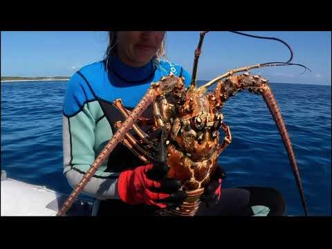 Snail Trail Intro ~ 6 Months sailing from Canada to the Bahamas in 60 seconds 