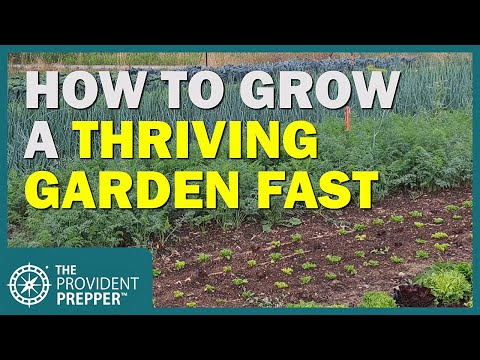 Survival Gardening: How to Grow a Thriving Garden the First Year