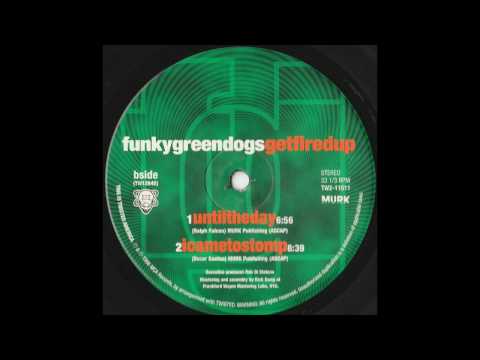 Funky Green Dogs - Until The Day (Original Murk Mix)