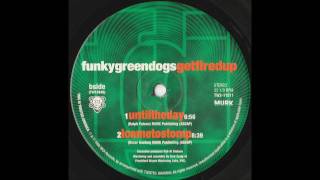 Funky Green Dogs - Until The Day (Original Murk Mix)