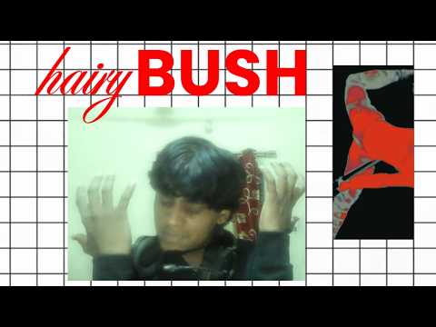 Hairy Bushes