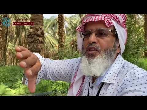 img-video