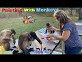 Painting With Monkeys Thank You Sue