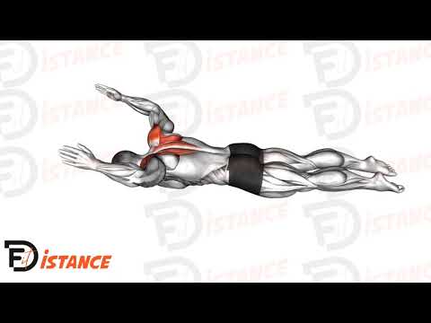 Exercice Élévations de W à Y en position allongée sur le ventre