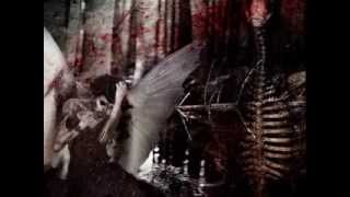 MassimoMilianO - Full Destruction (Alwin IRB Remix)[Brachial Kontakt]