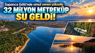 Bir Tarafta Afet, Bir Tarafta Bereket: Sapanca Gölü'nde Son İki Yılın En Yüksek 