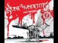 Sonic Syndicate Only Inhuman