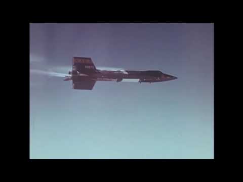 Deniz Tek   Comanche