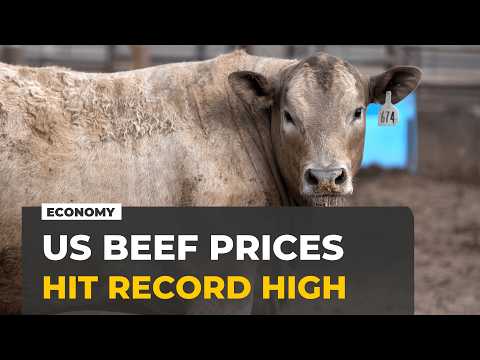 US beef prices hit record highs as Trump turns to imports