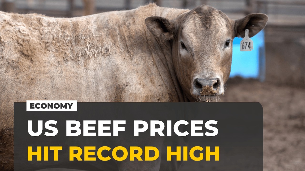 US beef prices hit record highs as Trump turns to imports